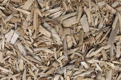 biomass boilers Toll End